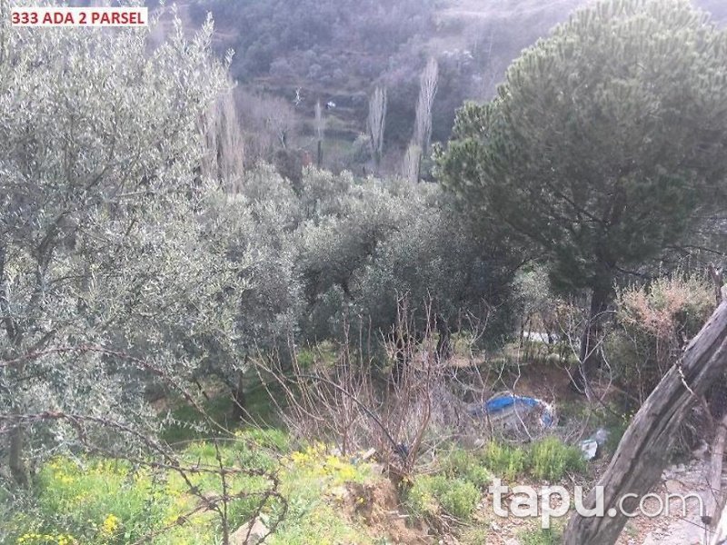 İzmir Ödemiş Bıçakçı Mahallesinde 1228 m2 Bahçe