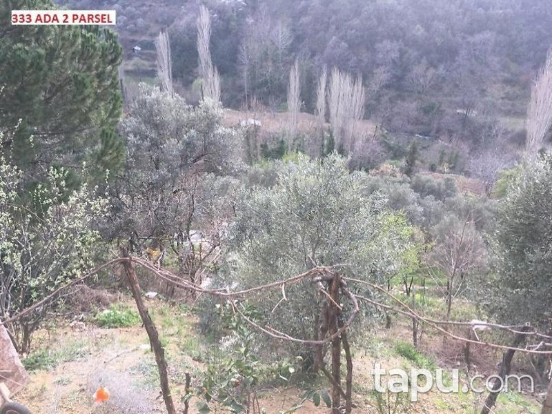 İzmir Ödemiş Bıçakçı Mahallesinde 1228 m2 Bahçe