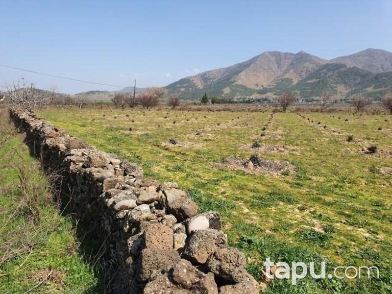 Gaziantep İslahiye Aydınoğlu Mahallesinde 7750 m2 Üzüm Bağ