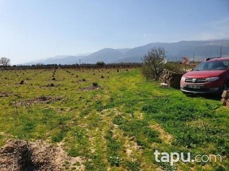 Gaziantep İslahiye Aydınoğlu Mahallesinde 7750 m2 Üzüm Bağ