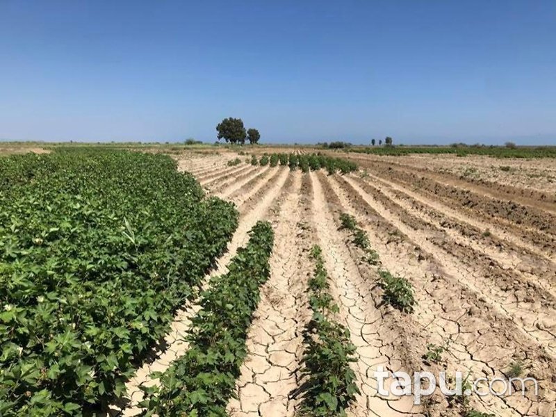 Adana Karataş Adalı Mahallesi'nde 24 Dönüm Tarla