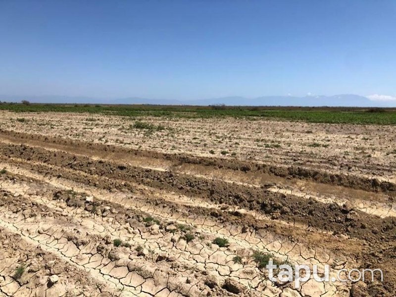 Adana Karataş Adalı Mahallesi'nde 24 Dönüm Tarla