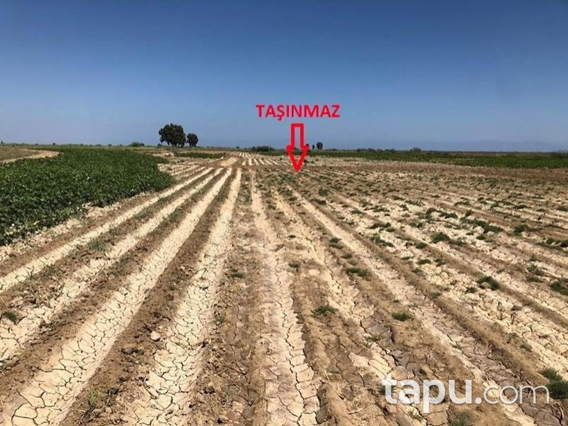 Adana Karataş Adalı Mahallesi'nde 24 Dönüm Tarla