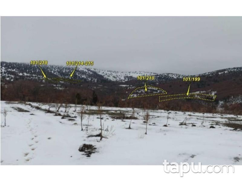 Kütahya Teşvikiye Köyü'nde 2838m2 Tarla