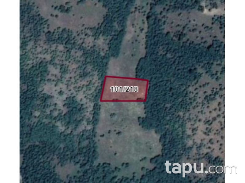 Kütahya Teşvikiye Mahallesi'nde 3188m2 Tarla