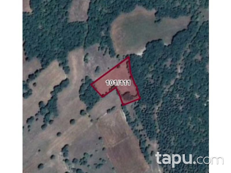 Kütahya Teşvikiye Mahallesi'nde 4107m2 Tarla