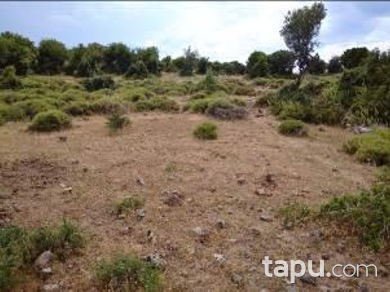 İzmir Dikili Çandarlı Mahallesi Koru Mevkiinde Hisseli 87 m2 Arsa