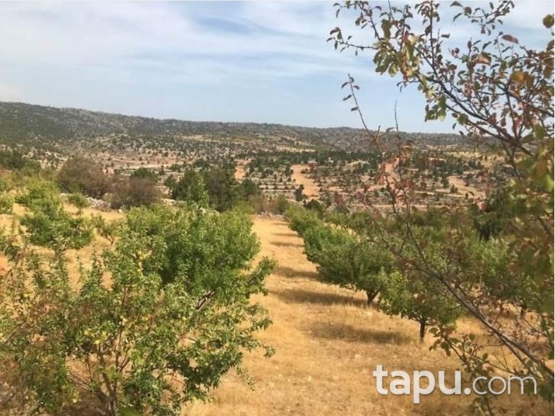 Mersin Gülnar İlçesi Ilısu Mahallesi'nde İki Katlı Ev Elma Bahçesi ve Tarla