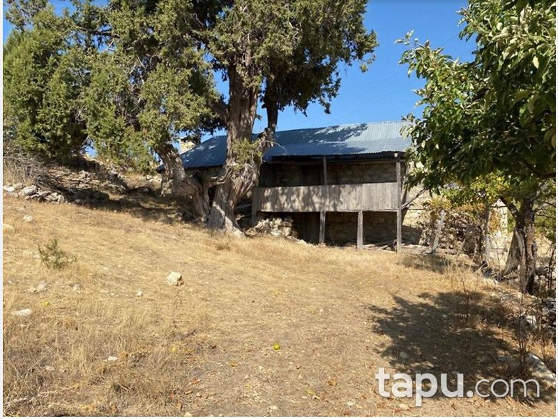 Mersin Gülnar İlçesi Ilısu Mahallesi'nde İki Katlı Ev Elma Bahçesi ve Tarla