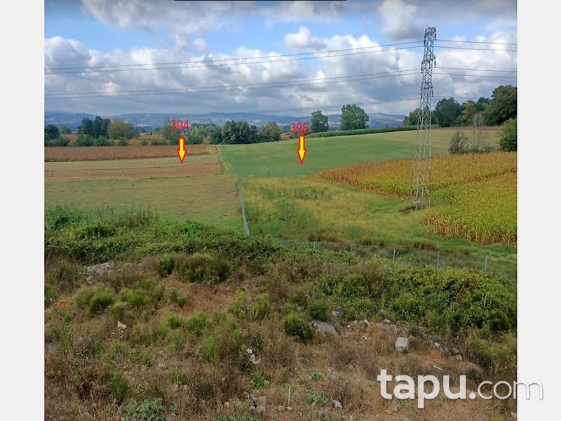 Kocaeli Kartepe Çiftlik Mahallesi'nde 2 Adet Tarla