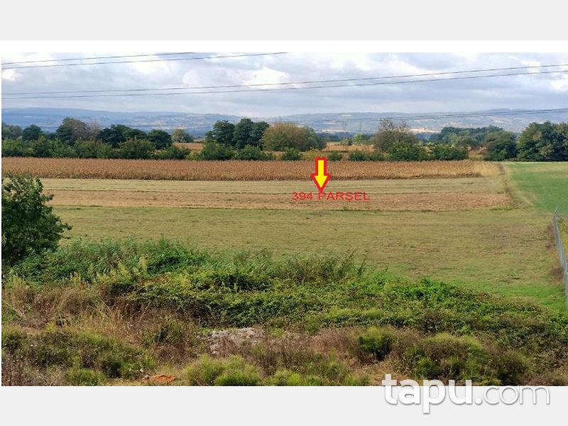 Kocaeli Kartepe Çiftlik Mahallesi'nde 2 Adet Tarla