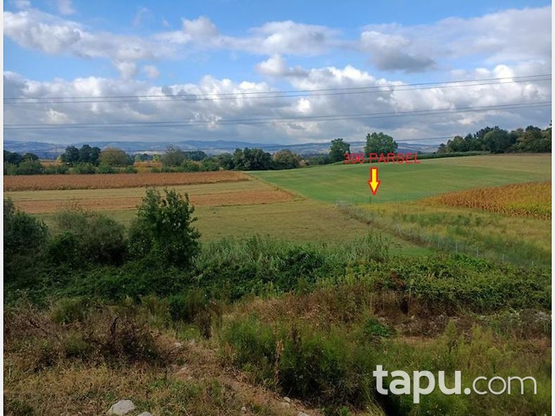 Kocaeli Kartepe Çiftlik Mahallesi'nde 2 Adet Tarla