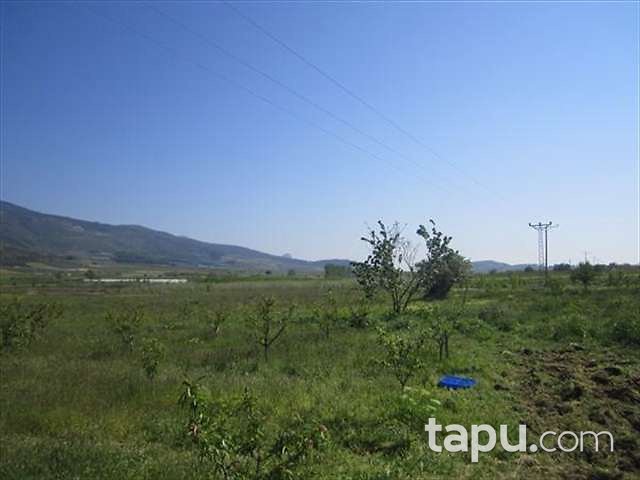 Bilecik Söğüt ilçesi Yakacık Mahallesi'nde 4125 m2 Tarla