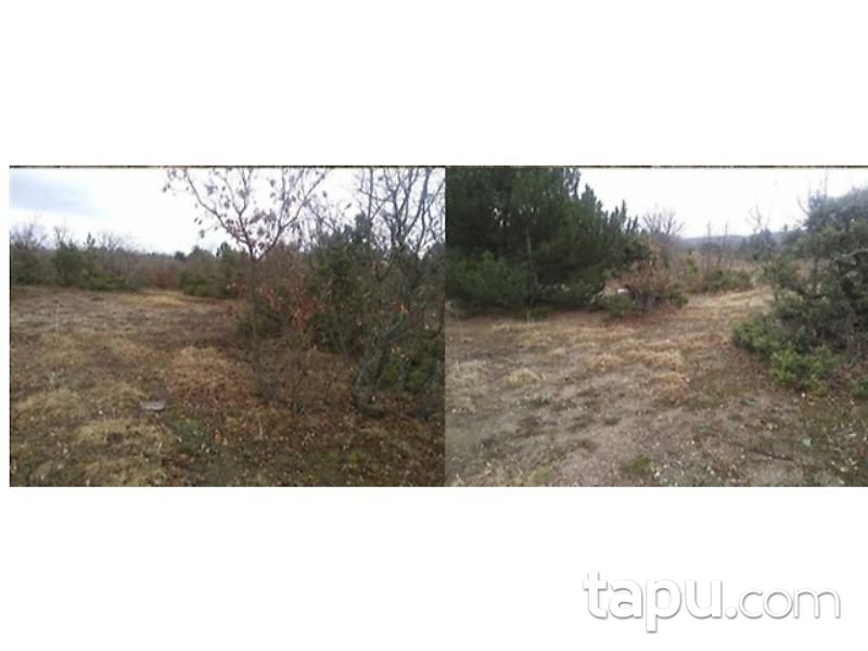 Kütahya Merkez Büyüksaka Mahallesi'nde 1940 m2 Tarla