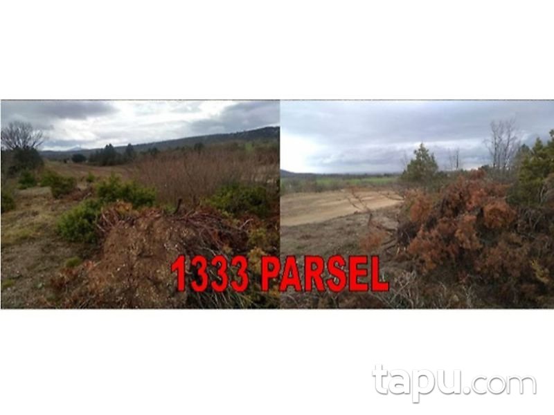 Kütahya Merkez Büyüksaka Mahallesi'nde 1940 m2 Tarla