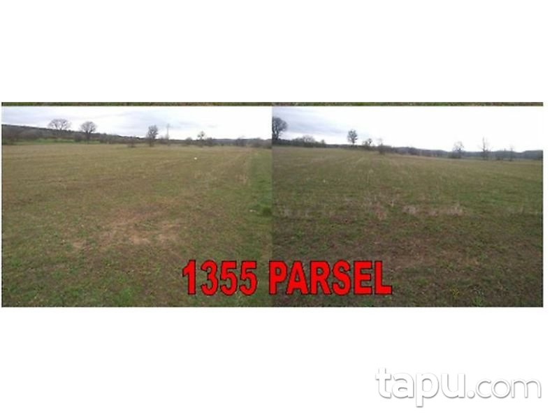 Kütahya Merkez Büyüksaka Mahallesi'nde 1760 m2 Tarla