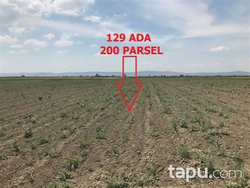 Denizli Çivril Seraserli Mahallesi'nde 3222 m2 Tarla