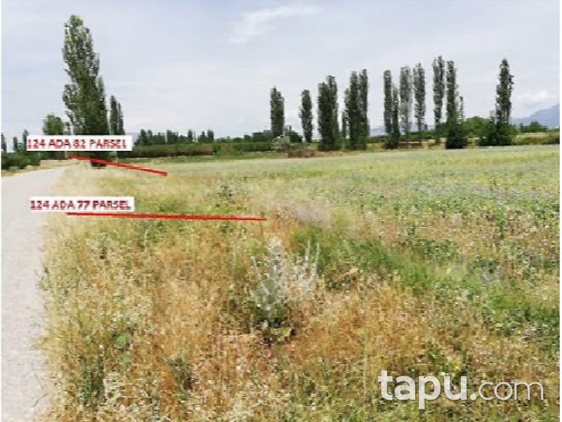 Denizli Çivril Seraserli Mahallesi'nde 6088 m2 Tarla