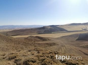 Yozgat Yerköy Susuz Köyünde 38647 m2 Tarla