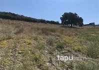 Manisa Köprübaşı Saraycık Mahallesi'nde 14 Dönüm Tarla