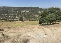 Manisa Köprübaşı Saraycık Mahallesi'nde 14 Dönüm Tarla