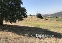 Manisa Köprübaşı Saraycık Mahallesi'nde 14 Dönüm Tarla