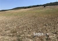 Manisa Köprübaşı Saraycık Mahallesi'nde 14 Dönüm Tarla