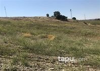 Manisa Köprübaşı Saraycık Mahallesi'nde 14 Dönüm Tarla