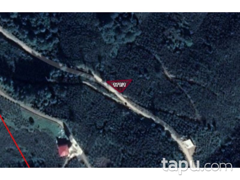 Ordu Ulubey Azak Mahallesi'nde 3410 m2 Fındık Bahçesi