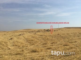 Siirt Merkez Evren Mahallesi'nde 928 m2 İmarlı Arsa