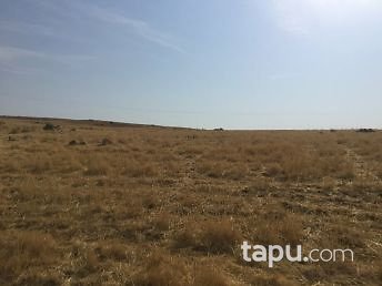 Siirt Merkez Evren Mahallesi'nde 928 m2 İmarlı Arsa