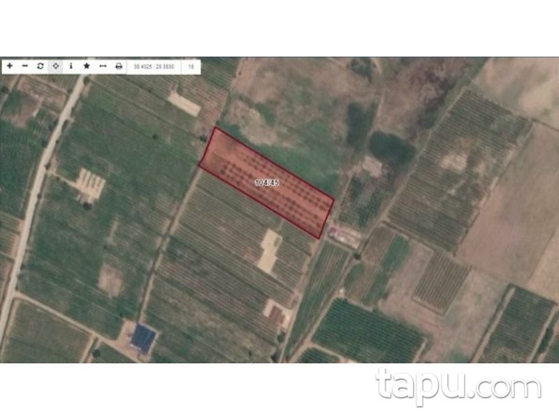 Manisa Alaşehir Örnekköy Mahallesi'nde 5073 m2 Bağ