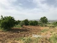 Manisa Alaşehir Örnekköy Mahallesi'nde 35 m2 Bağ Evi ve Arsası