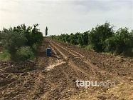 Manisa Alaşehir Örnekköy Mahallesi'nde 35 m2 Bağ Evi ve Arsası