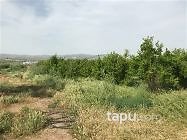 Manisa Alaşehir Örnekköy Mahallesi'nde 35 m2 Bağ Evi ve Arsası