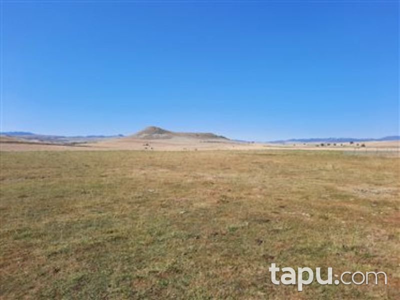 Çankırı Çerkeş Yeni Mahalle'sinde 564 m2 Konut İmarlı Arsa