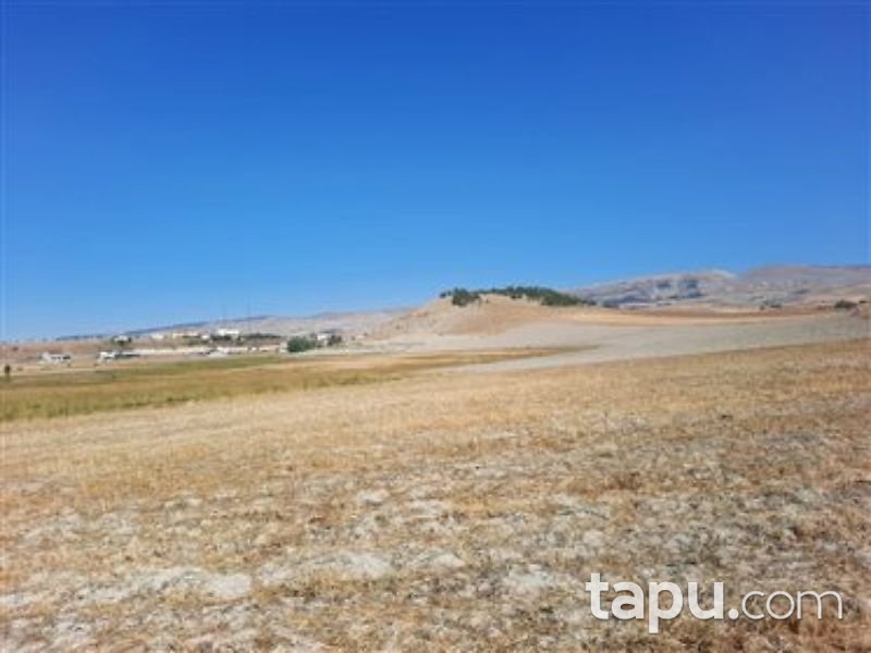 Çankırı Çerkeş Yeni Mahalle'sinde 564 m2 Konut İmarlı Arsa