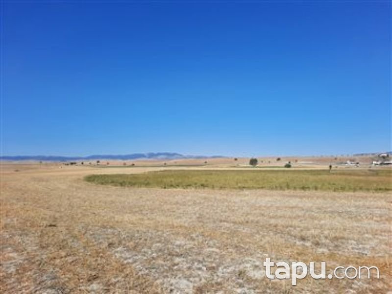 Çankırı Çerkeş Yeni Mahalle'sinde 564 m2 Konut İmarlı Arsa