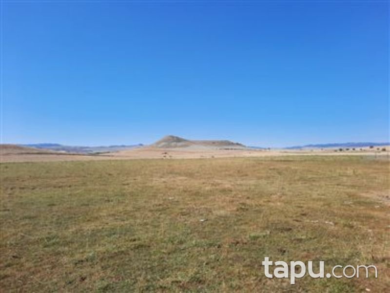 Çankırı Çerkeş Yeni Mahalle'sinde 564 m2 Konut İmarlı Arsa