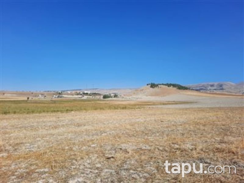 Çankırı Çerkeş Yeni Mahalle'sinde 564 m2 Konut İmarlı Arsa