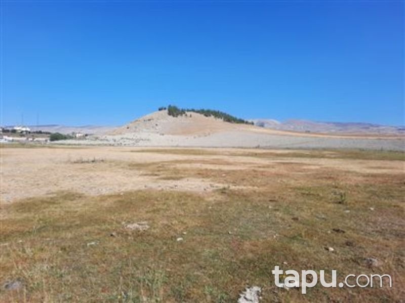 Çankırı Çerkeş Yeni Mahalle'de 555 m2 Konut İmarlı Arsa