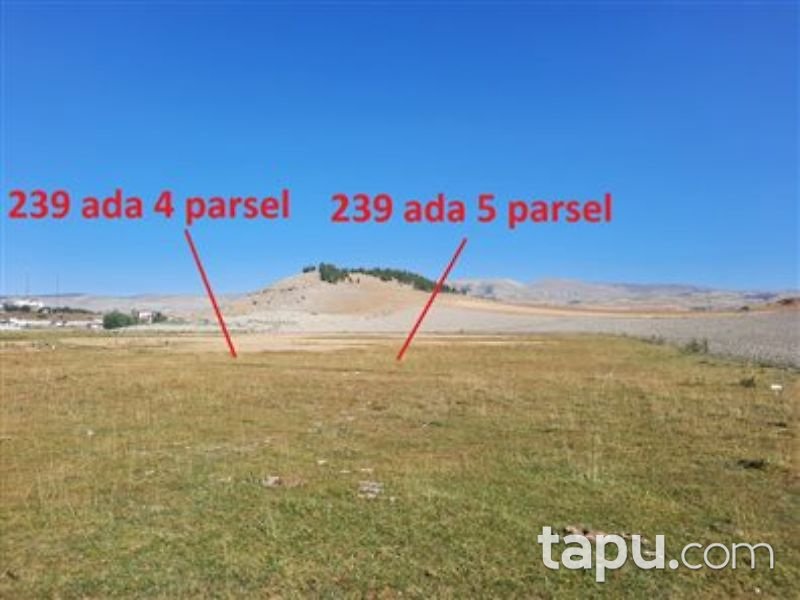 Çankırı Çerkeş Yeni Mahalle'de 555 m2 Konut İmarlı Arsa