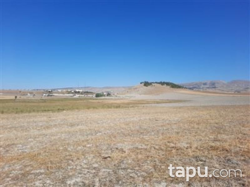 Çankırı Çerkeş Yeni Mahalle'de 555 m2 Konut İmarlı Arsa