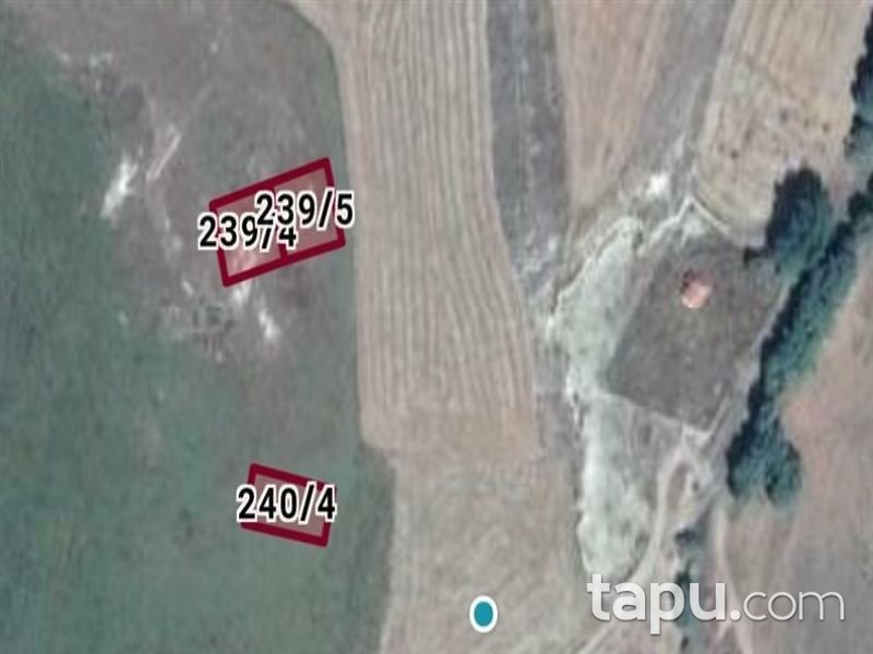 Çankırı Çerkeş Yeni Mahalle'de 555 m2 Konut İmarlı Arsa