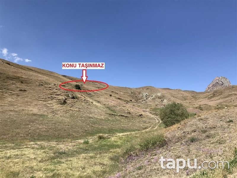 Iğdır Tuzluca Pirdemir Mahallesi'nde 13400 m2 Tarla