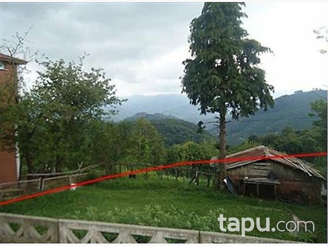 Ordu Ulubey'de 1443 m2 Tarla ve Kargir Ev