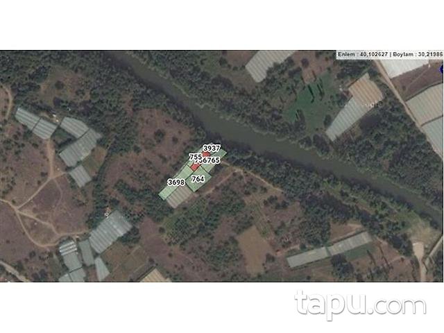 Bilecik Söğüt Hamitabat Köyü'nde 506 m2 Bahçe