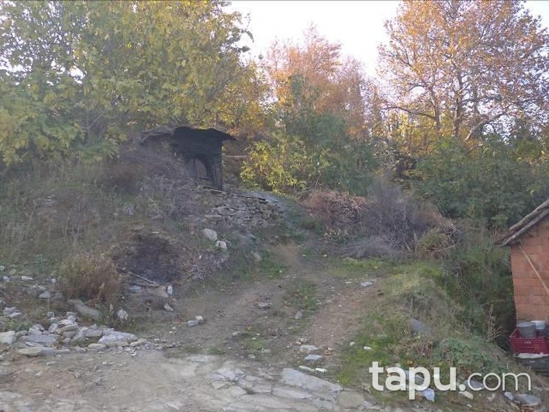 İzmir Selçuk Şirince Mahallesi'nde 261 m2 Arsa