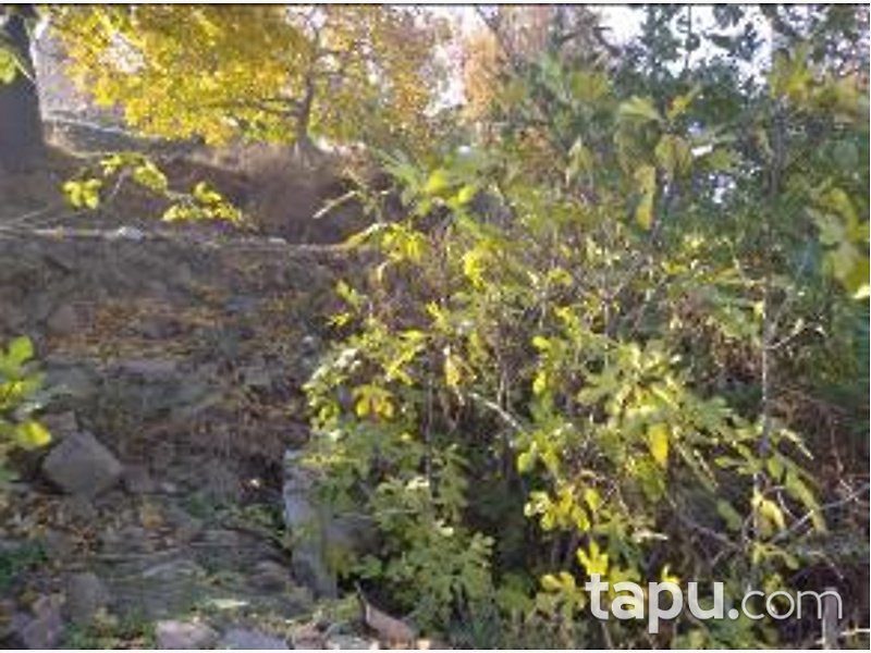 İzmir Selçuk Şirince Mahallesi'nde 261 m2 Arsa