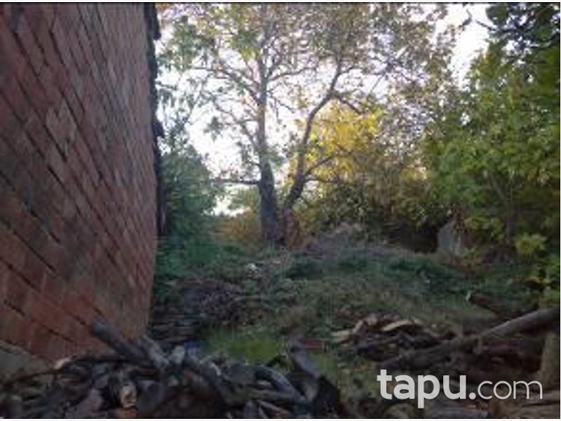 İzmir Selçuk Şirince Mahallesi'nde 261 m2 Arsa